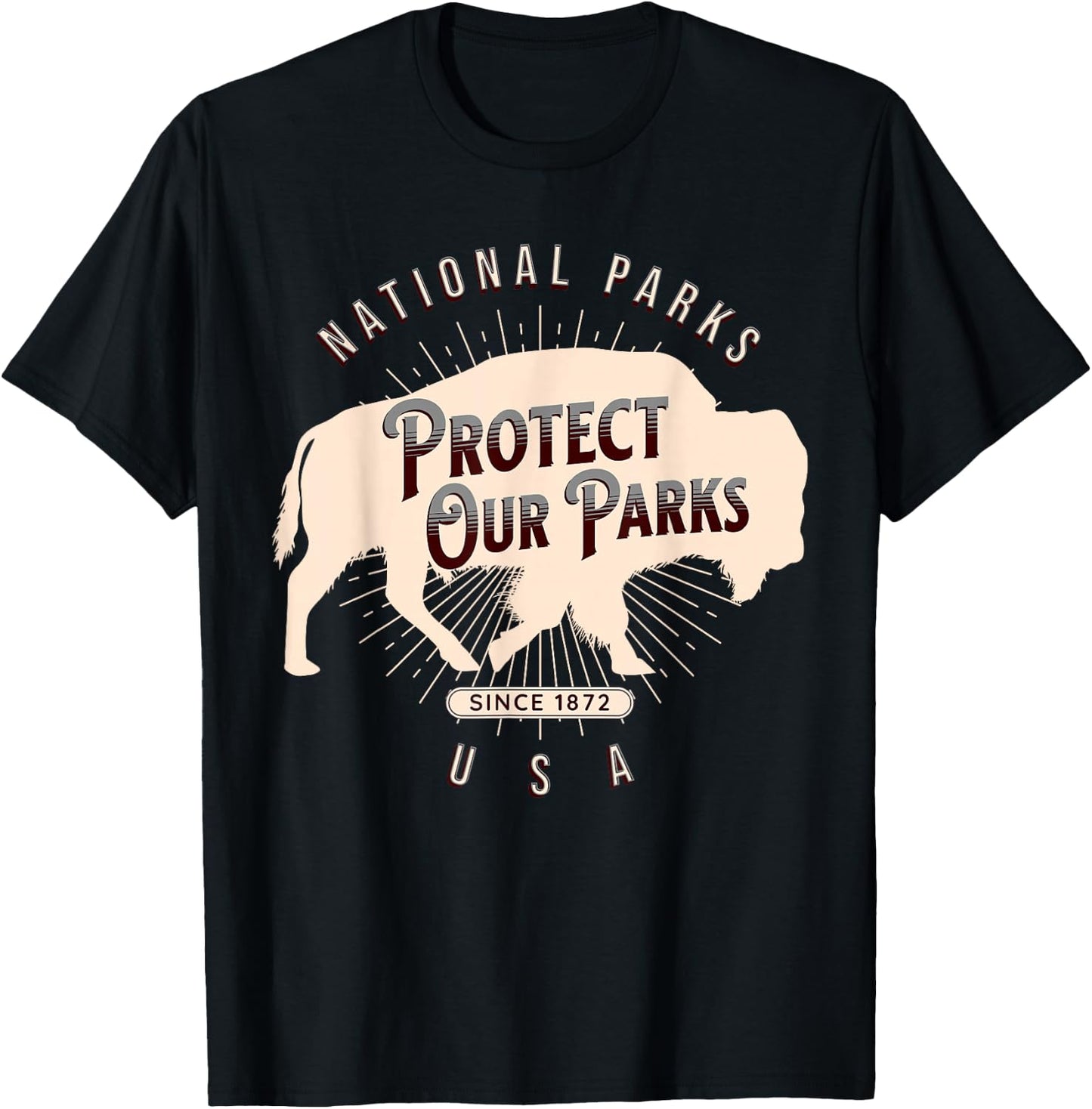 Protect Our Parks National Park America Hike Outdoors T-Shirt - T-Shirt | Black