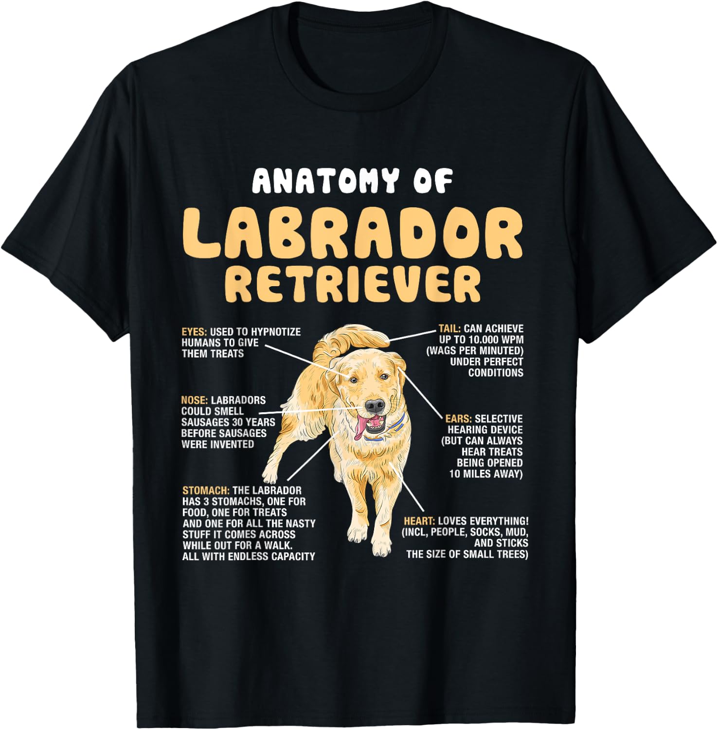 Anatomy Of Labrador Retriever Lovers Funny Lab Owners T-Shirt - T-Shirt | Black
