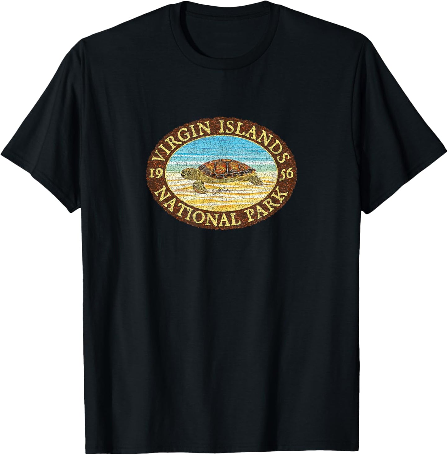 JCombs: Virgin Islands National Park, Sea Turtle on Beach T-Shirt - T-Shirt | Black