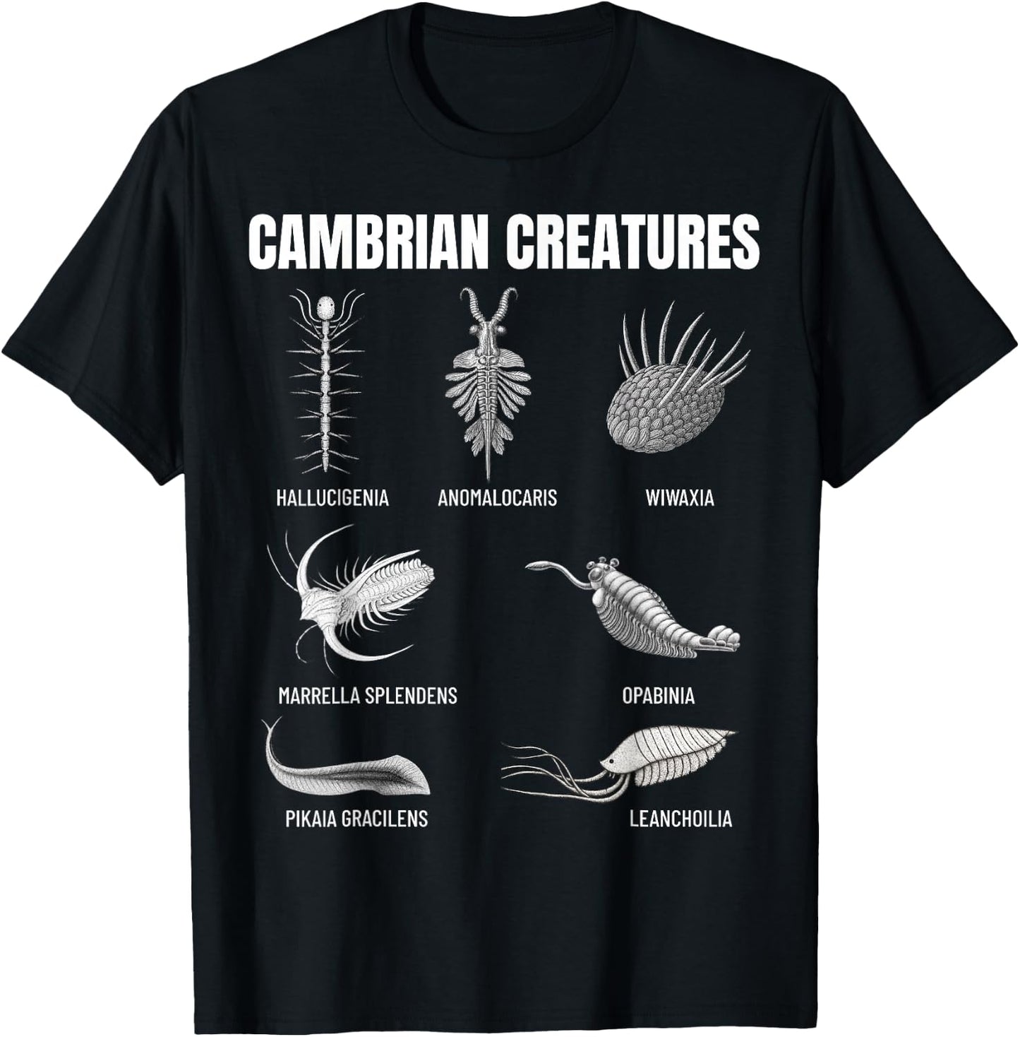 Cambrian Creatures Fossil Paleoart Evolution Science Lover T-Shirt - T-Shirt | Black