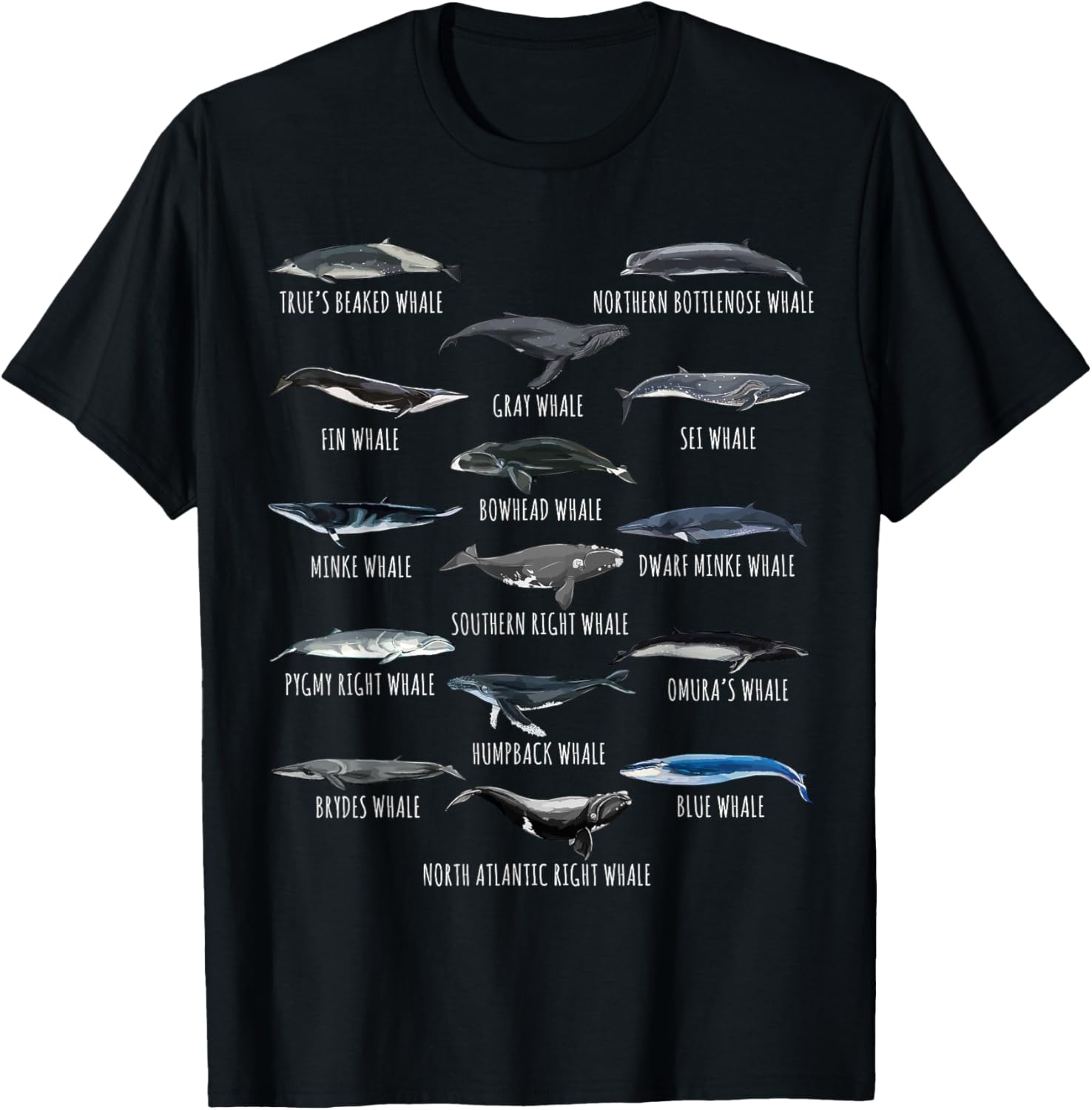 Different Whale Species Biology Types Of Whales T-Shirt - T-Shirt | Black