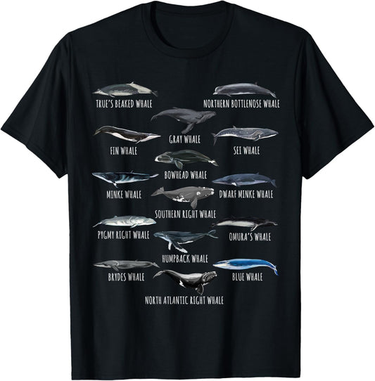 Different Whale Species Biology Types Of Whales T-Shirt - T-Shirt | Black