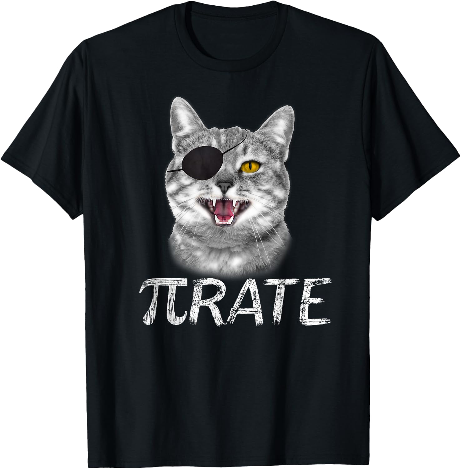 Funny Pi Day Math Science Cat Pirate T-Shirt - T-Shirt | Black