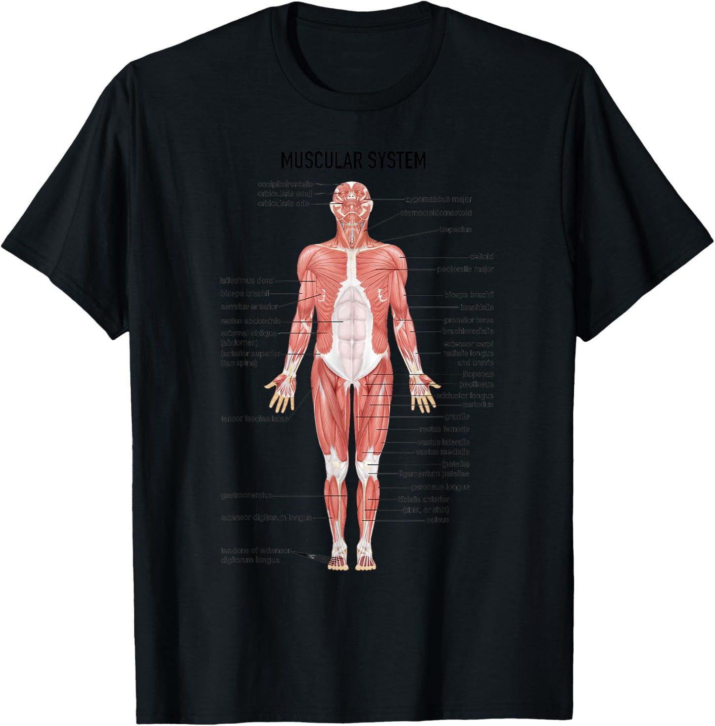 Muscular System Nurse Doctor Funny Med Medical Jokes Humor T-Shirt - T-Shirt | Black