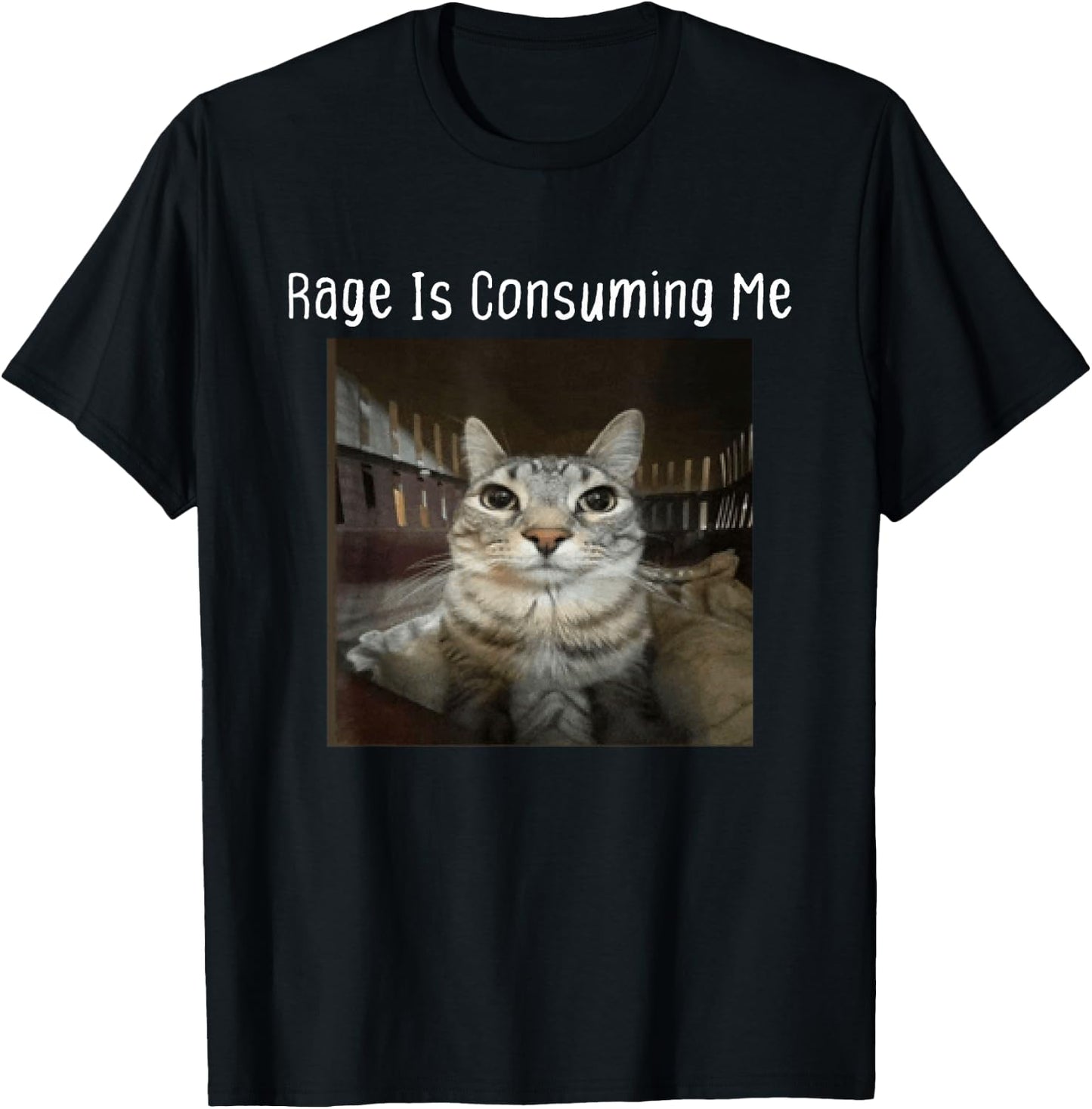 Rage Is Consuming Me Silly Staring Cat Meme T-Shirt - T-Shirt | Black