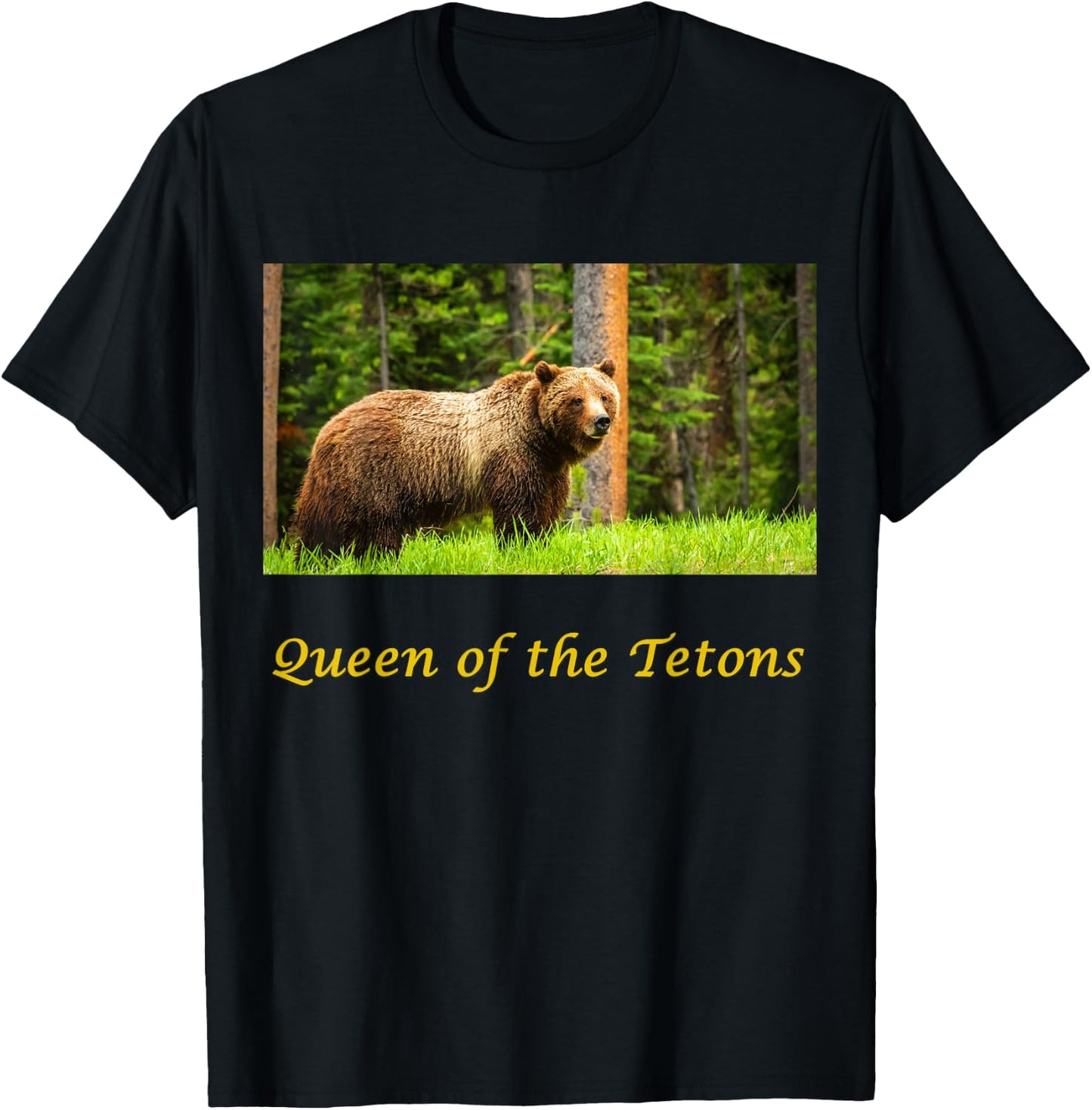 399 Queen of the Tetons Grizzly Bear T-Shirt - T-Shirt | Black