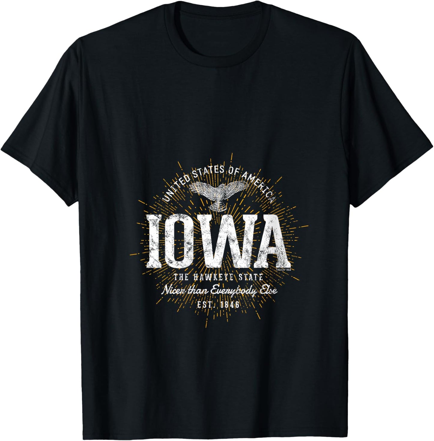 Vintage State of Iowa Retro V-Neck T-Shirt - T-Shirt | Black