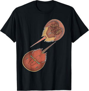 EncycloArt - Horseshoe Crab Xiphosura T-Shirt - T-Shirt | Black