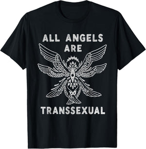 All Angels are Transsexual Biblically Accurate Angel T-Shirt - T-Shirt | Black