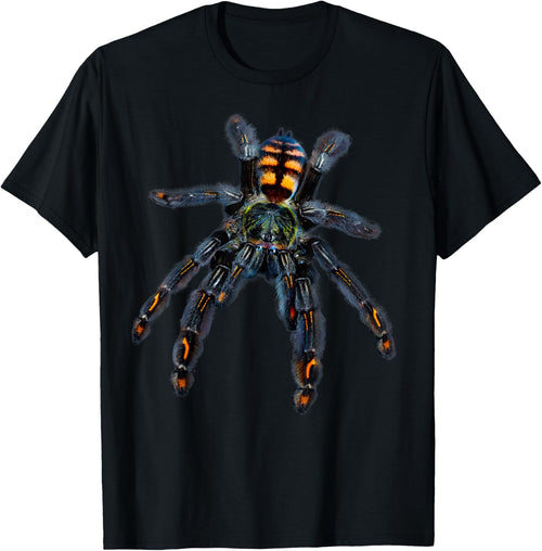 Venezuelan Sun Tiger Tarantula Spider (P. irminia)