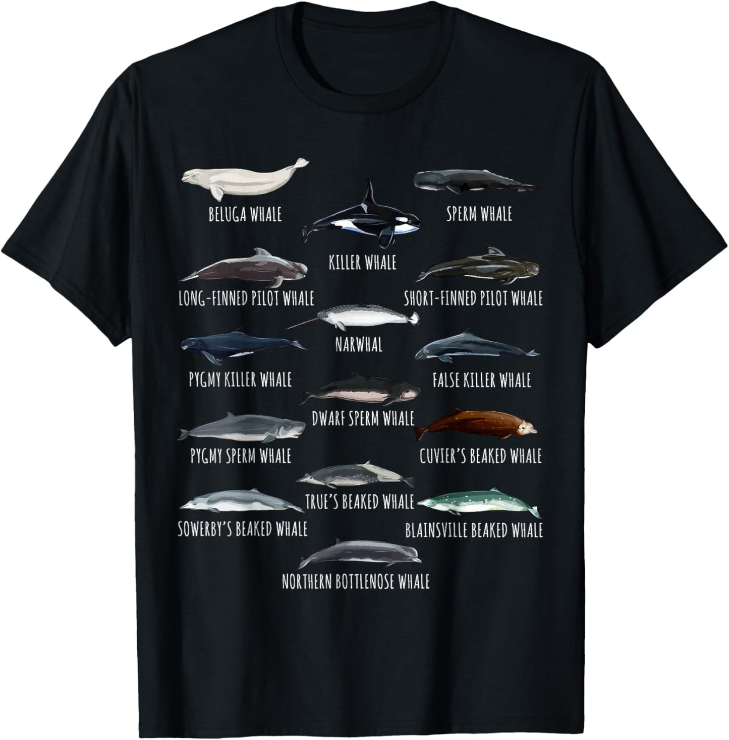 Whales Species Biology Different Types Of Whales T-Shirt - T-Shirt | Black