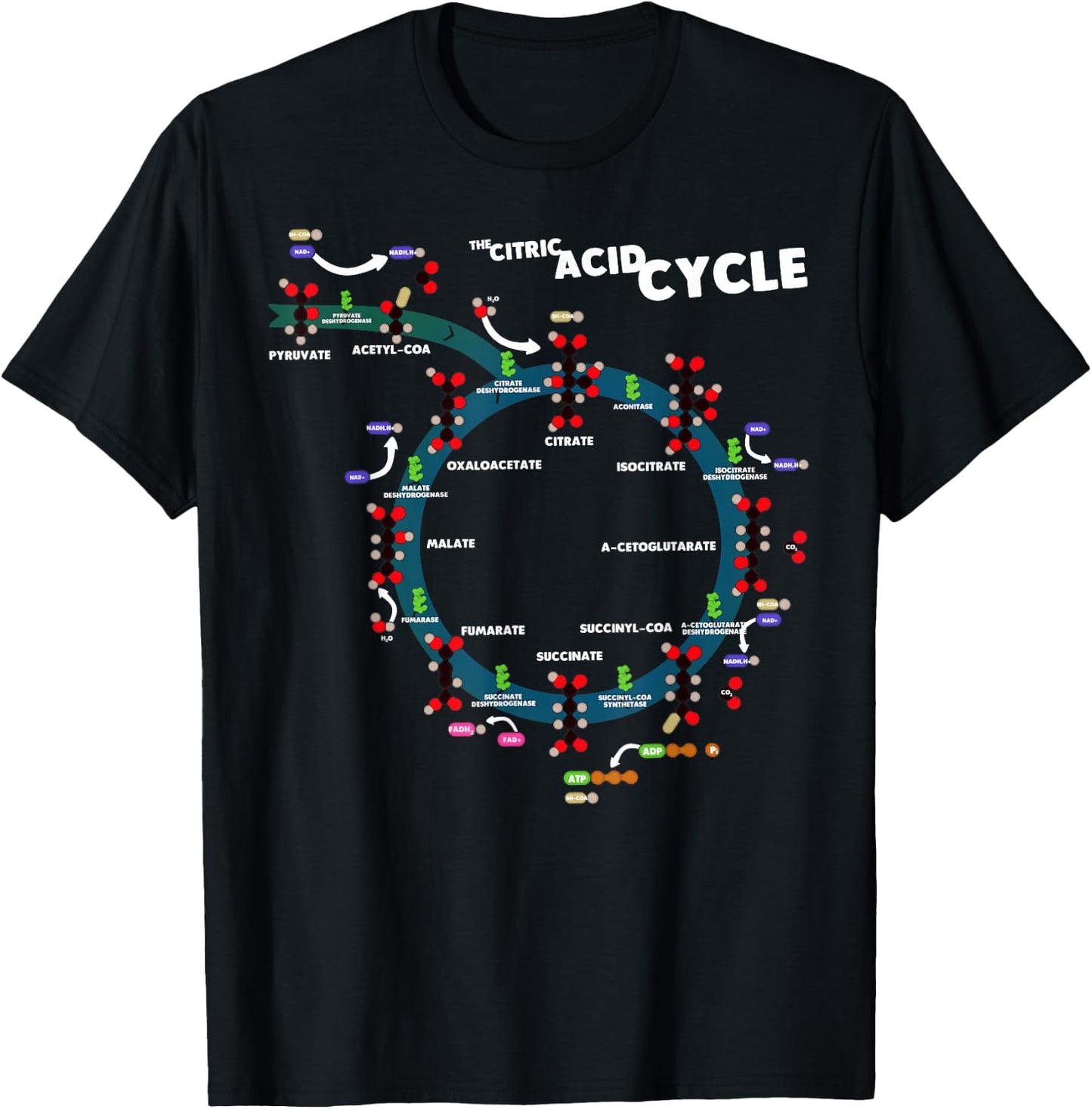 The citric acid cycle T-Shirt - T-Shirt | Black