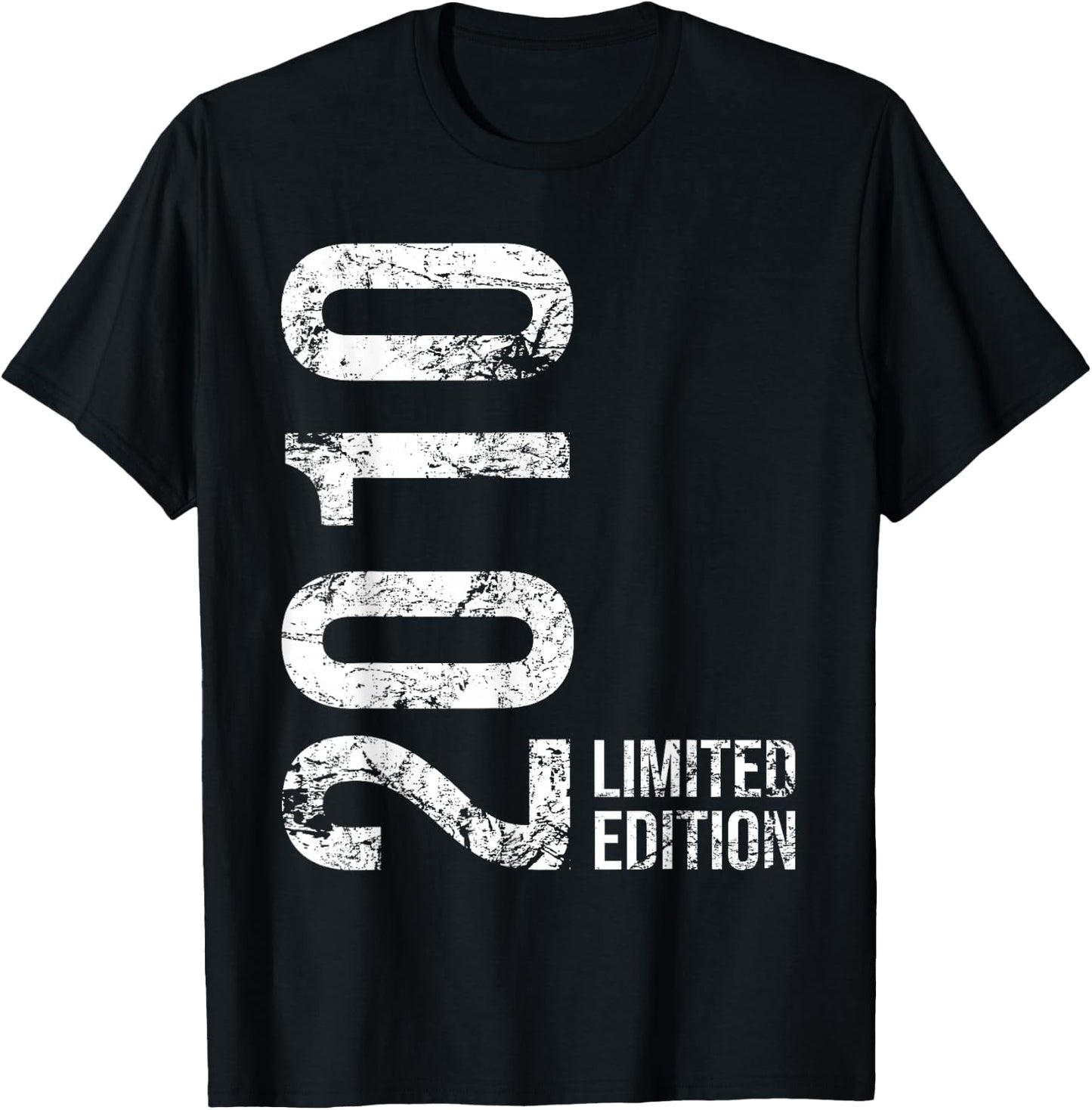 15th Birthday 15 Years Old Girl Boy 2010 T-Shirt - T-Shirt | Black
