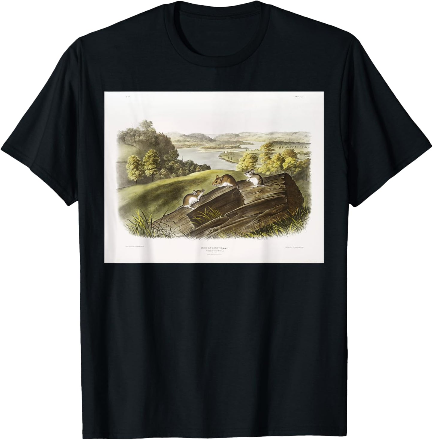White-footed Mouse Animal Illustration & Women T-Shirt - T-Shirt | Black