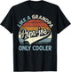 PAPA-Joe Like A Grandpa Only Cooler Fathers Day Retro T-Shirt - T-Shirt | Black