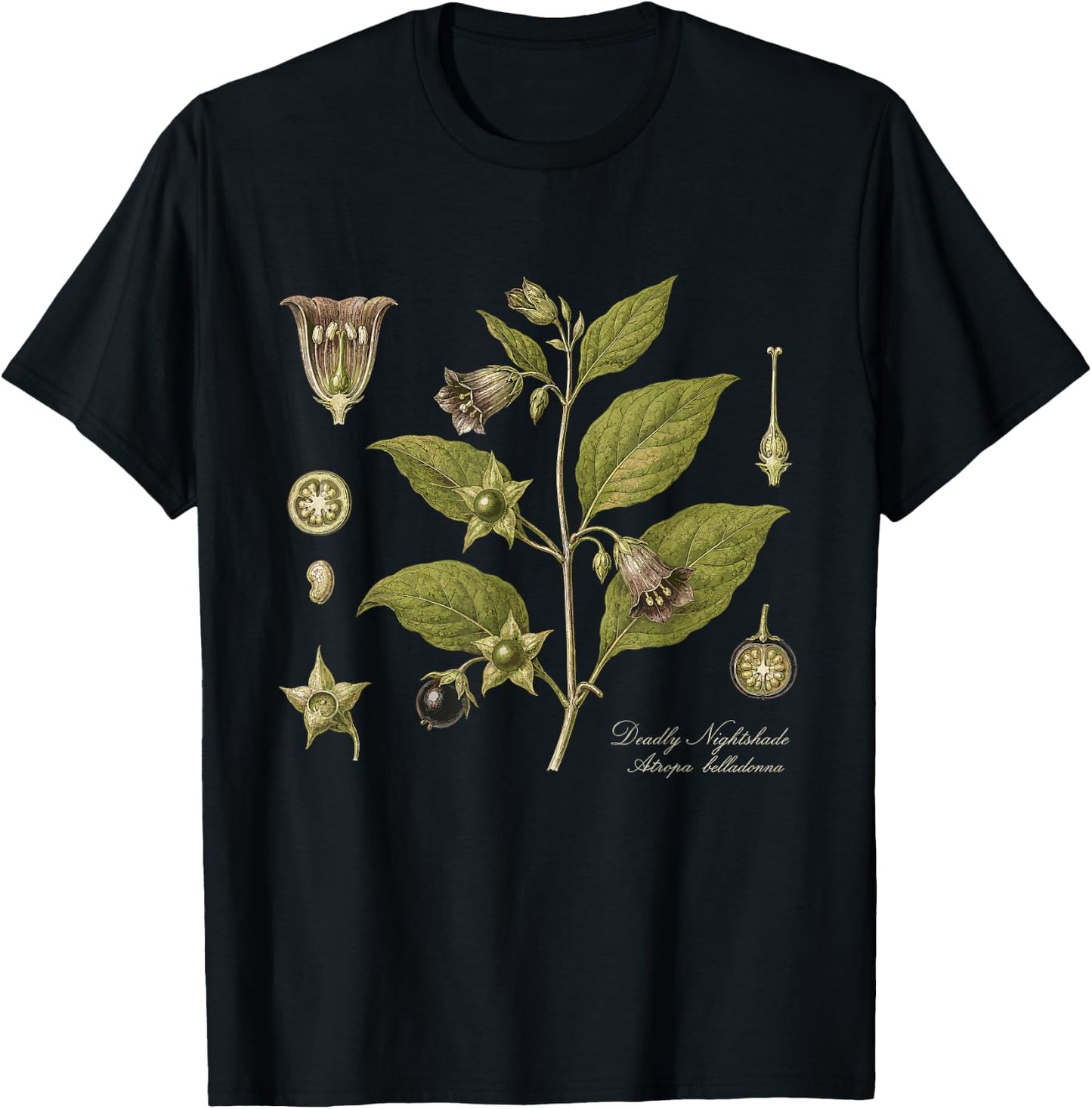 Deadly Nightshade Atropa Belladonna Vintage Botanical T-Shirt - T-Shirt | Black