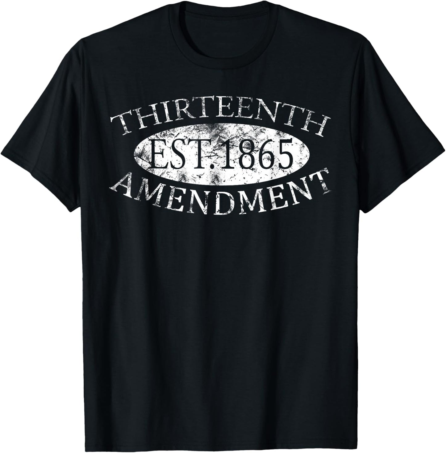 US Constitution Thirteenth Amendment History T-Shirt - T-Shirt | Black