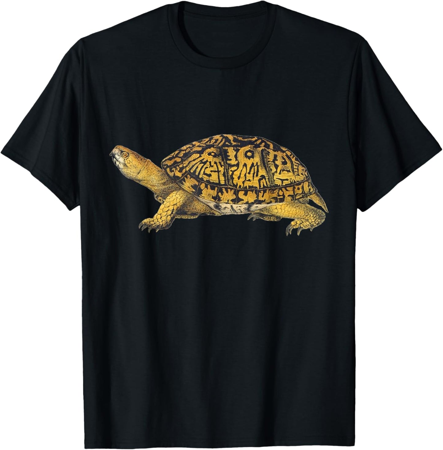 Eastern Box Turtle T-Shirt - T-Shirt | Black