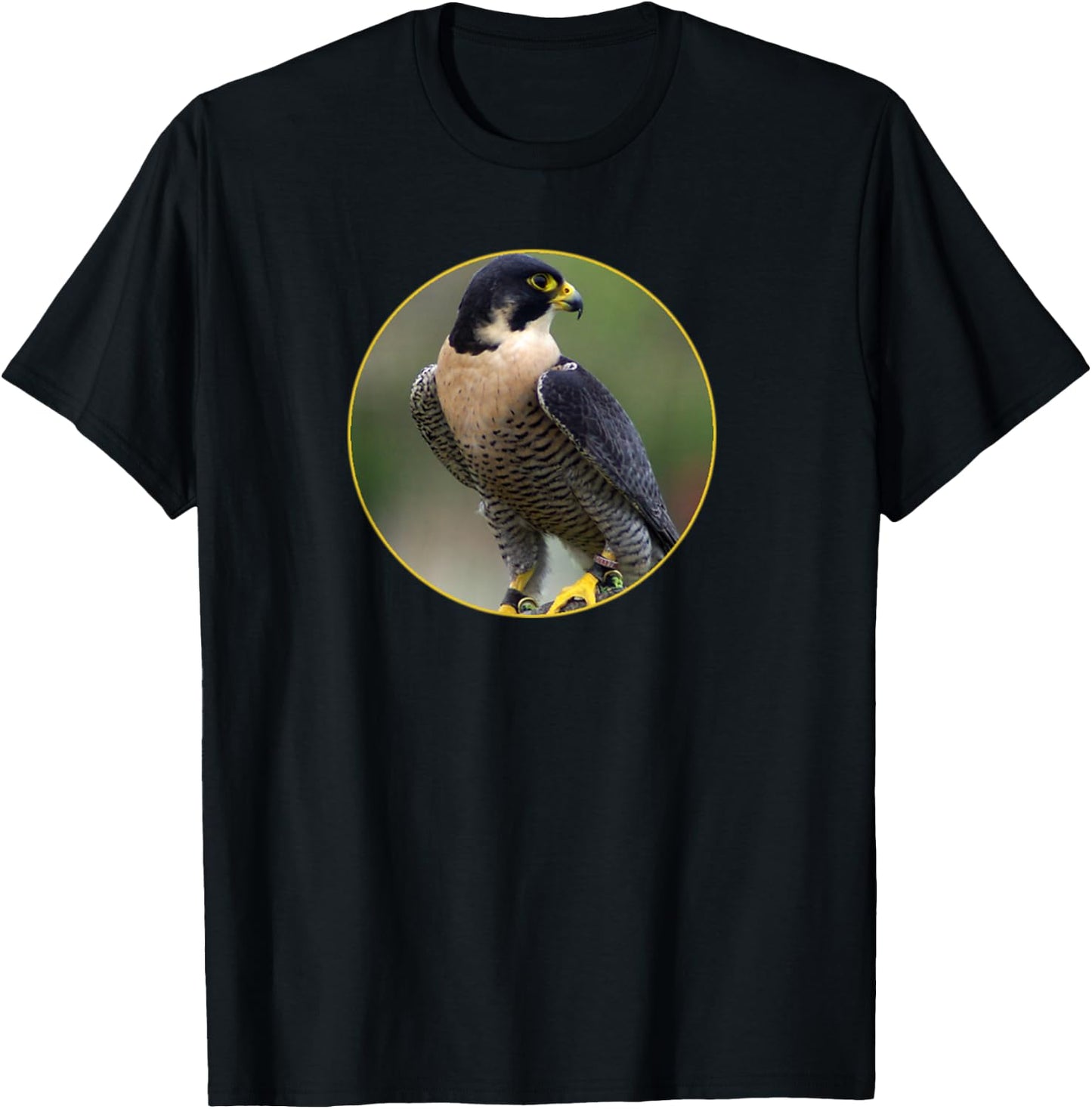 Peregrine Falcon Wildlife T-Shirt - T-Shirt | Black