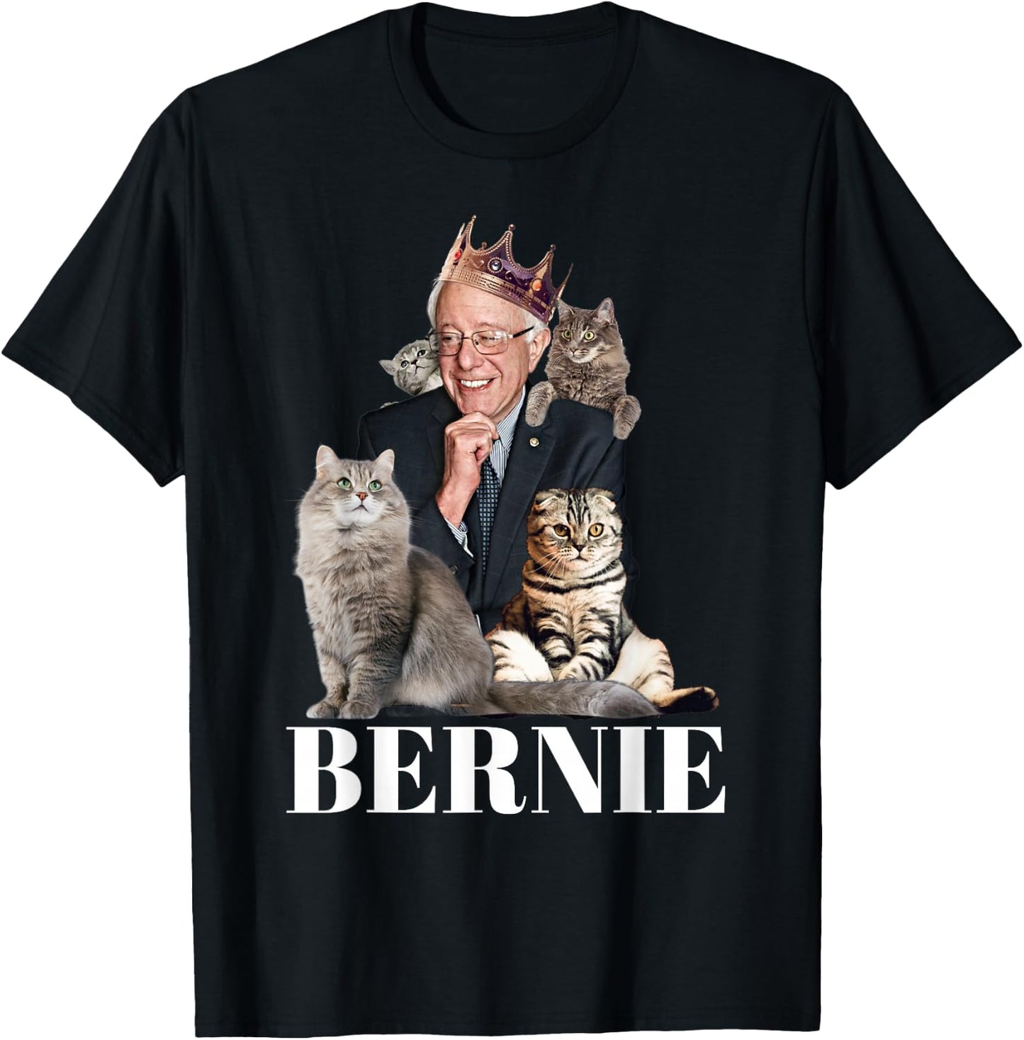 Bernie Sanders Funny Cat Gift T-Shirt - T-Shirt | Black