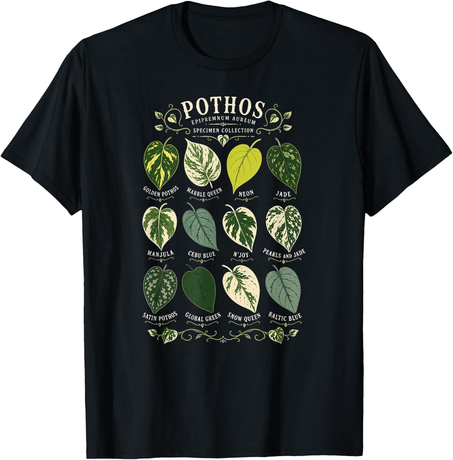 Pothos Plant Varieties Botanical Houseplant Design T-Shirt - T-Shirt | Black