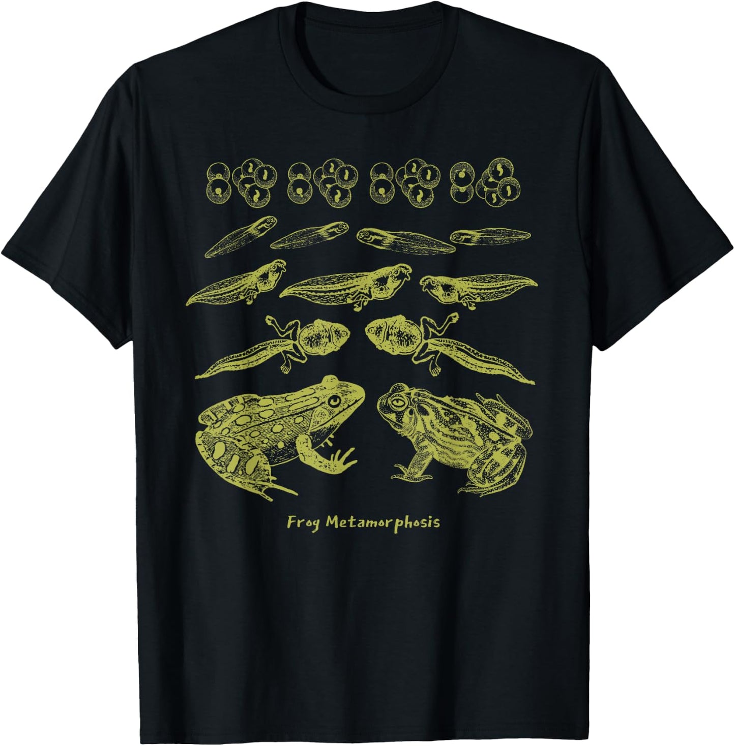 Frog Tadpole Life Cycle Biology Teacher Vintage Science T-Shirt - T-Shirt | Black