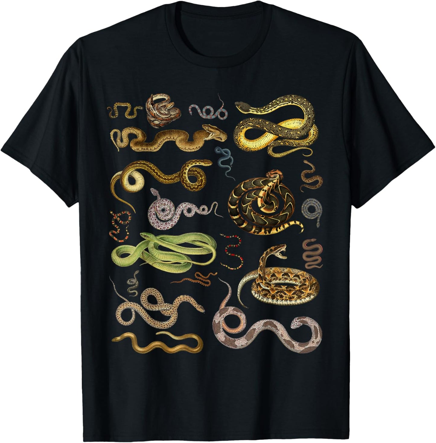 Types Of Snakes Herpetologist Educational Kids Boys Girls T-Shirt - T-Shirt | Black