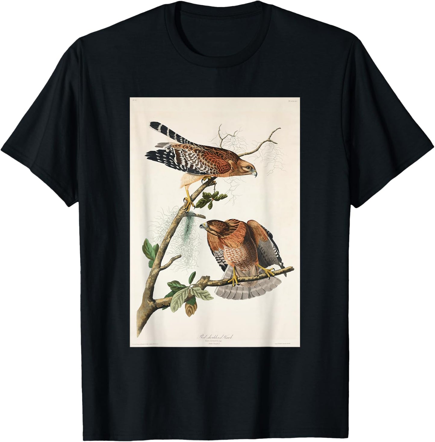 Vintage Red-Shouldered Hawks Birds Illustration Men & Women T-Shirt - T-Shirt | Black