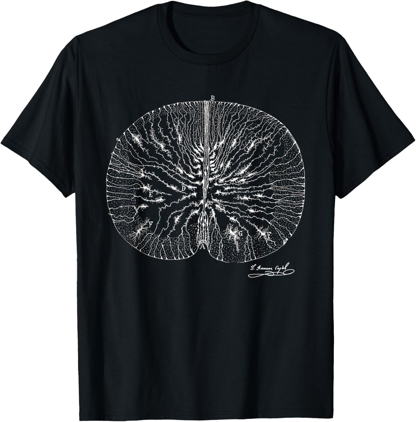 Brain Neuron Ramon y Cajal Illustration T-Shirt - T-Shirt | Black