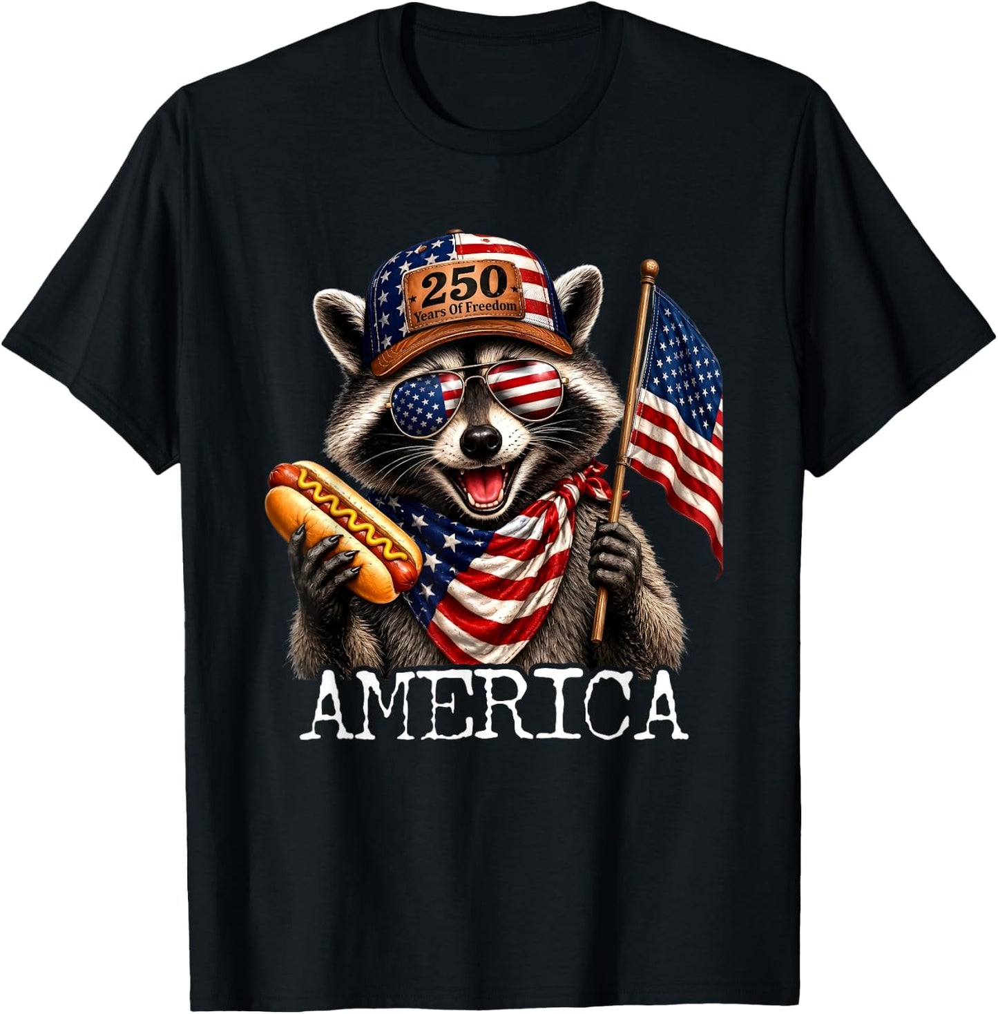 America Meme Raccoon Hot Dog 250 Years 1776 2026 4th of July T-Shirt - T-Shirt | Black