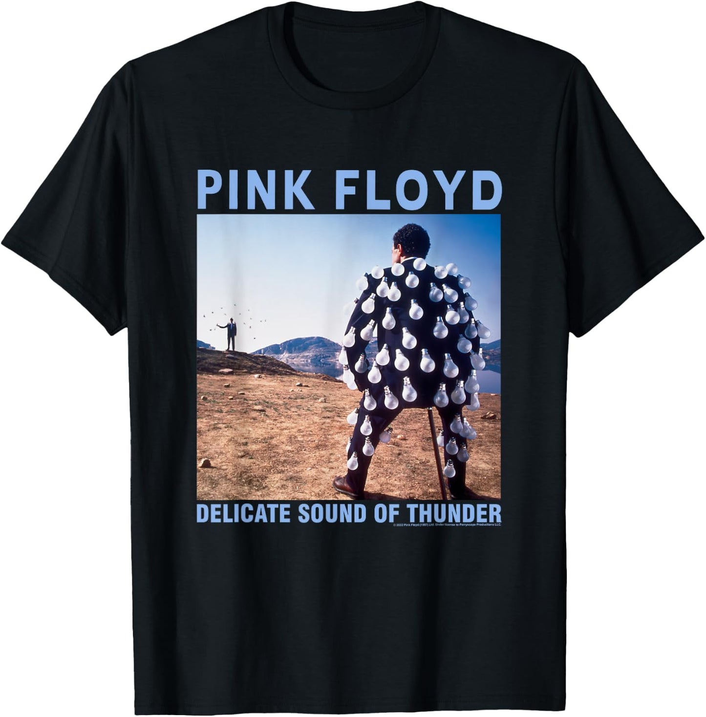 Pink Floyd Delicate Sound T-Shirt - T-Shirt | Black
