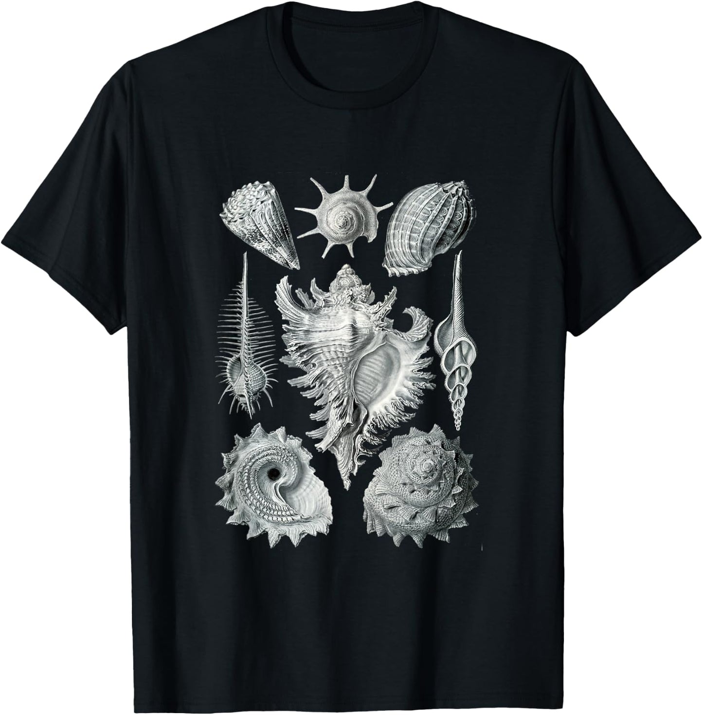 Sea Shells Botanical Ocean Vintage Scientific Drawing Art T-Shirt - T-Shirt | Black