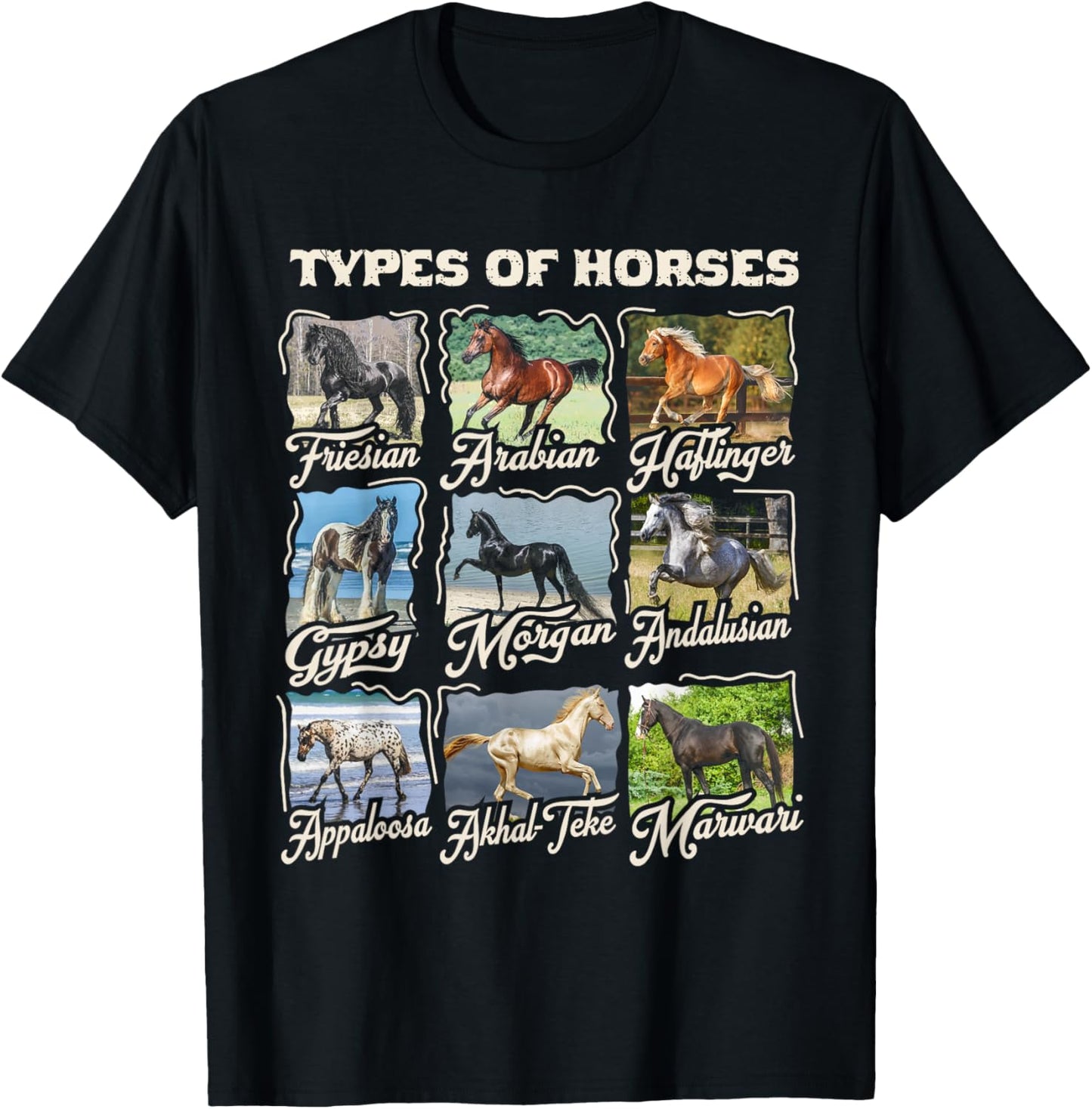 Funny Horse Breeds Cute Animal Gift Teen Girls Women Riding T-Shirt - T-Shirt | Black