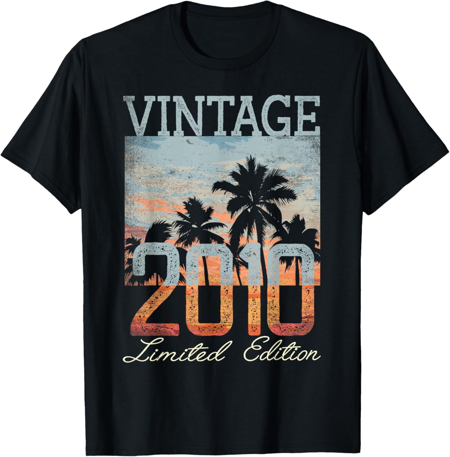 Vintage 2010 Limited Edition 15th Birthday 15 Year Old Gifts T-Shirt - T-Shirt | Black