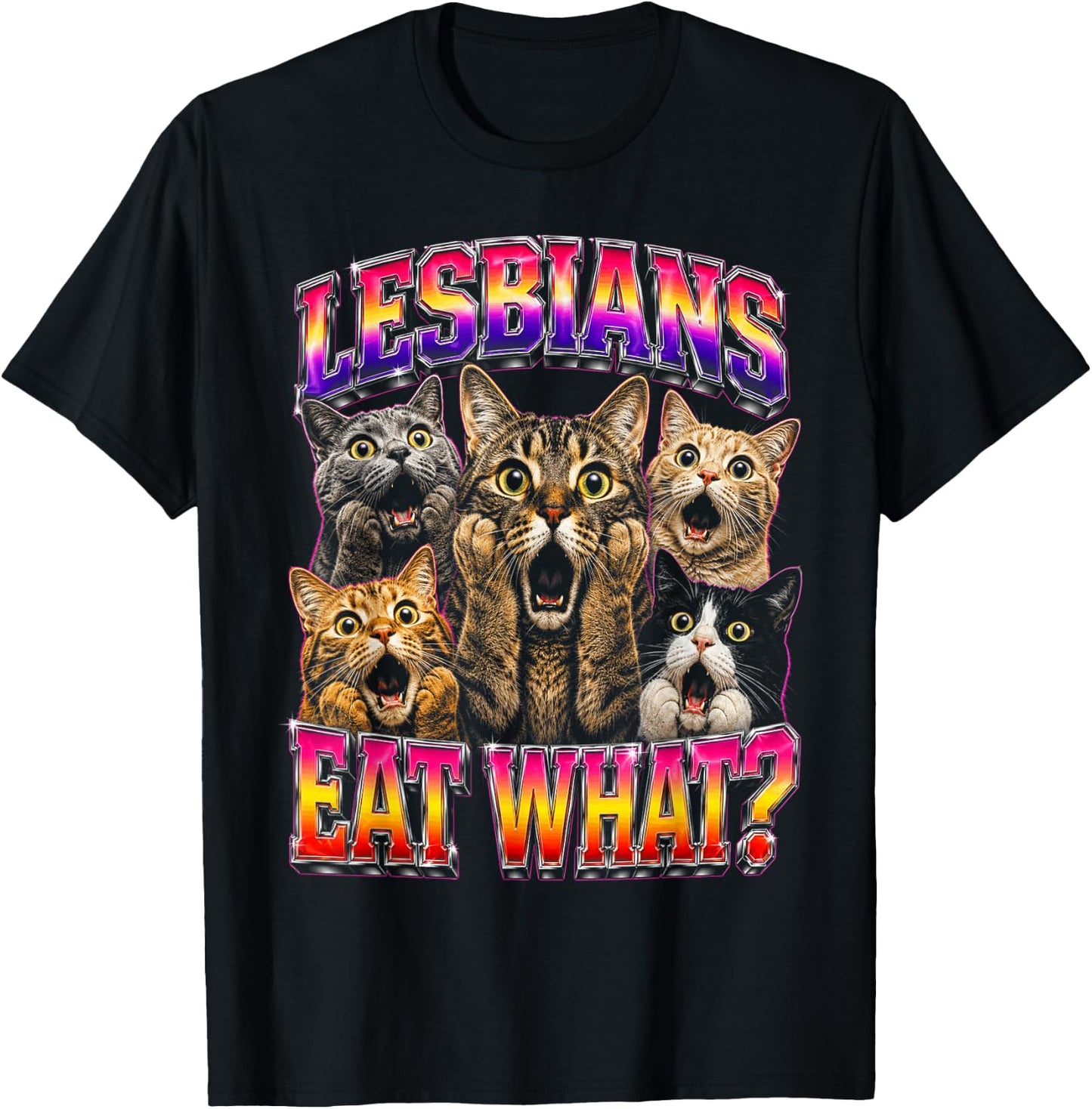 Gay Pride Funny Cats Ally Lesbian LGBT T-Shirt - T-Shirt | Black